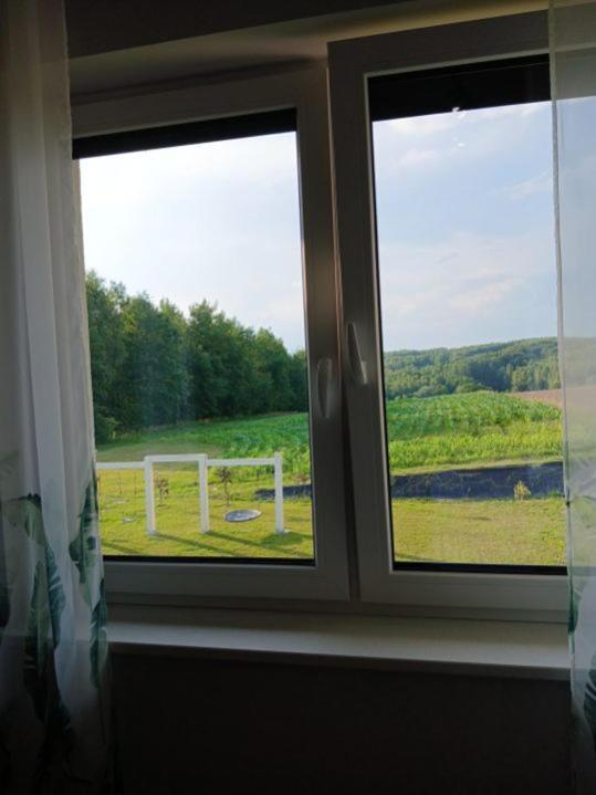 Noclegi Sunny House Witanowice Exterior foto